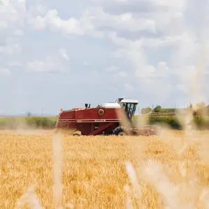 Состав пасты