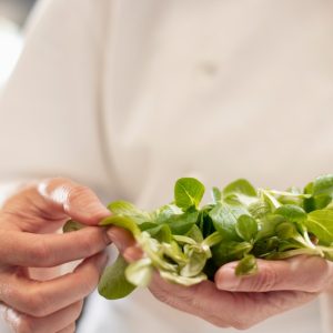 Травы в кулинарии